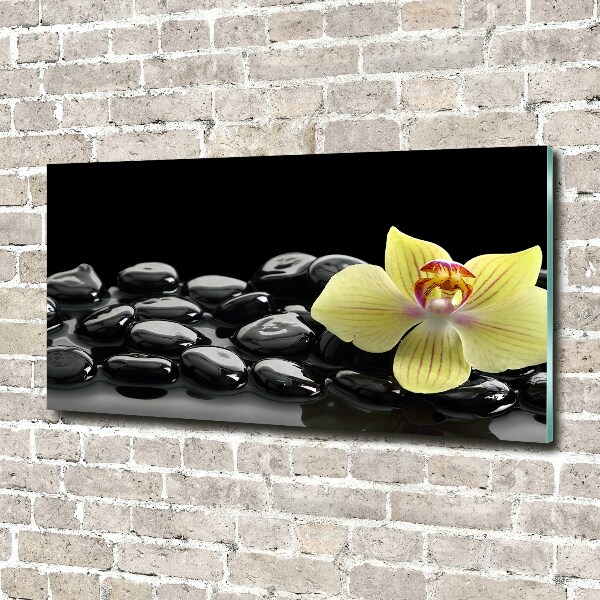 Foto schilderij op glas Orchidee