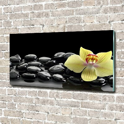 Foto schilderij op glas Orchidee