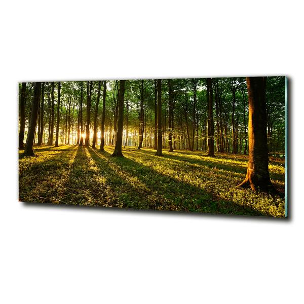 Glazen schilderij Zonnestralen