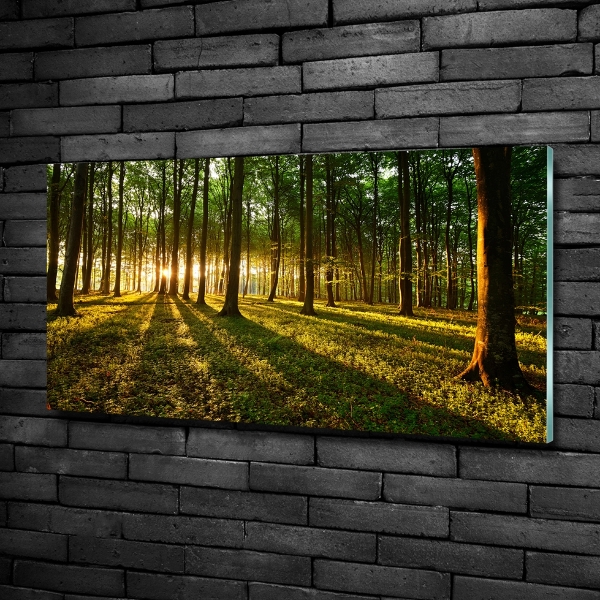 Glazen schilderij Zonnestralen