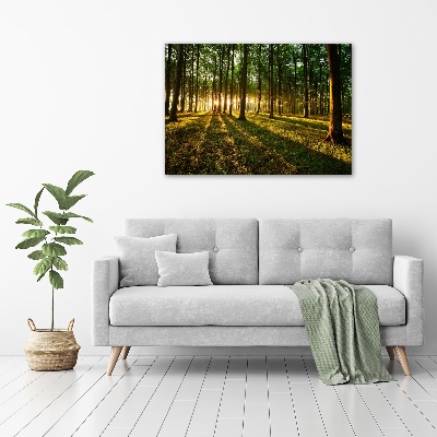 Glazen schilderij Zonnestralen