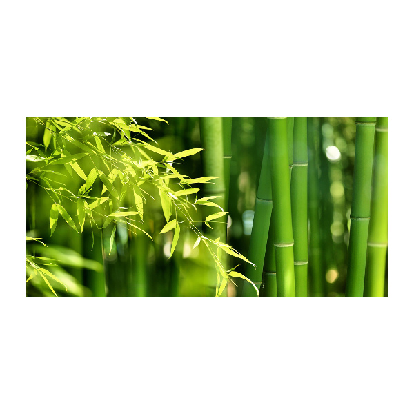 Schilderij op glas Bamboe