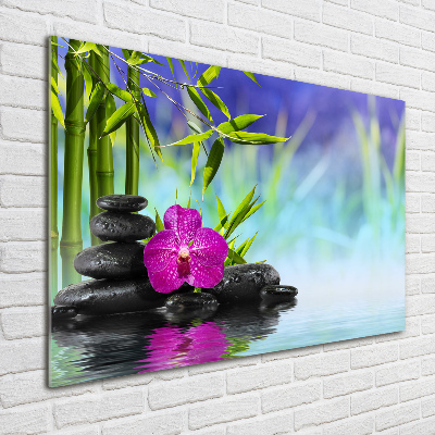 Schilderij glas Bamboe-orchidee