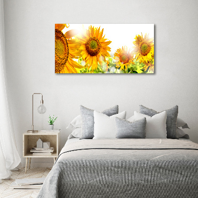 Foto schilderij op glas Zonnebloemen