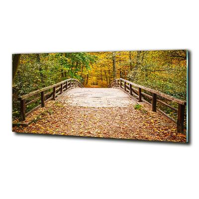 Foto schilderij op glas Brug in het herfstbos