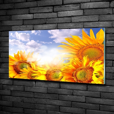 Schilderij glas Zonnebloemen
