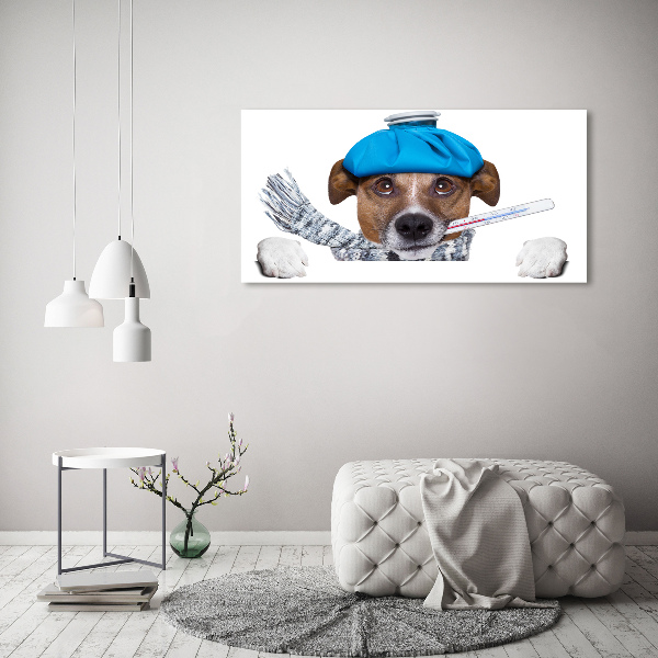 Schilderij op glas Zieke hond