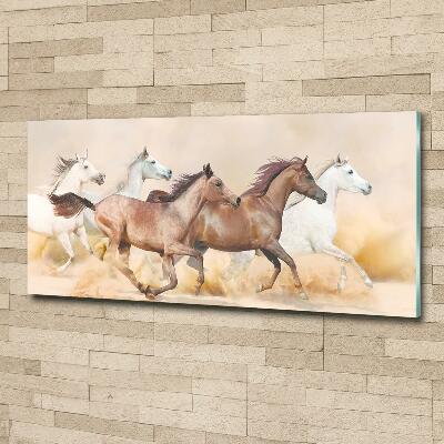 Schilderij glas Paarden in galop