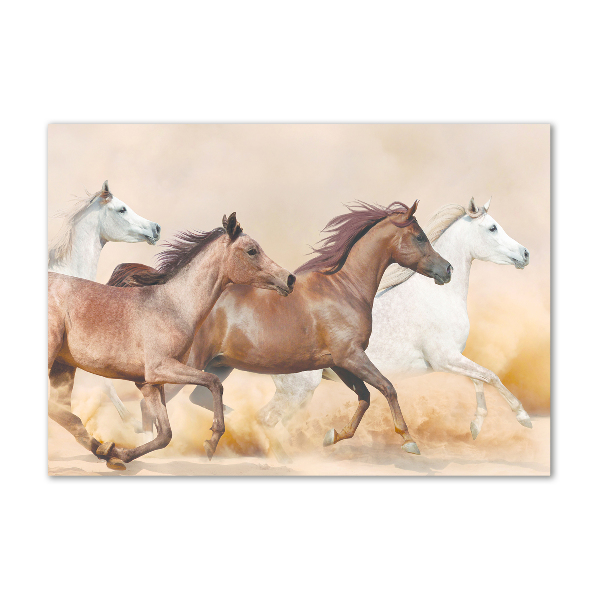 Schilderij glas Paarden in galop