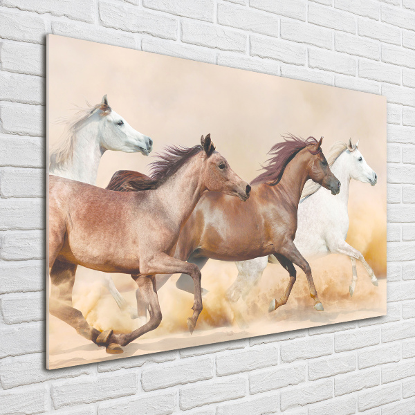 Schilderij glas Paarden in galop