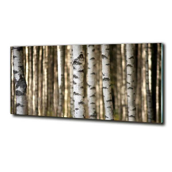 Glazen schilderij Berken