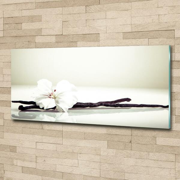 Foto schilderij op glas Vanillestokje