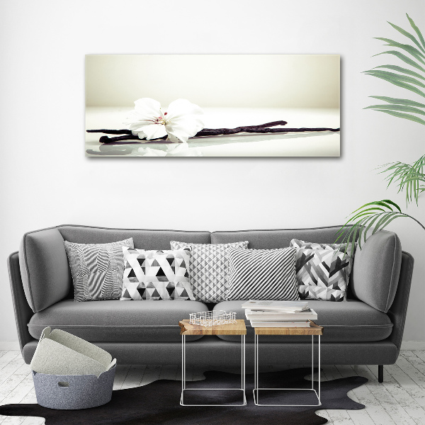 Foto schilderij op glas Vanillestokje