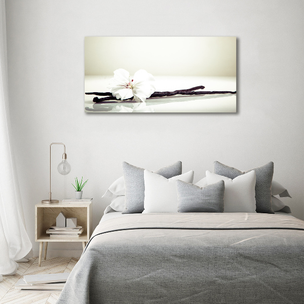 Foto schilderij op glas Vanillestokje