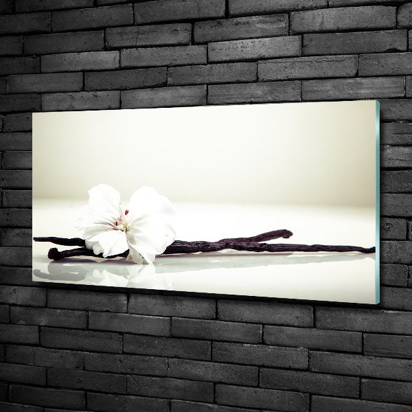 Foto schilderij op glas Vanillestokje