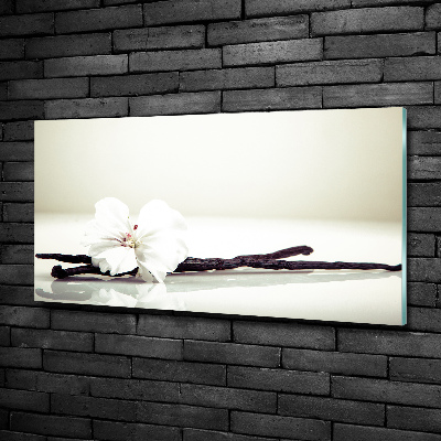 Foto schilderij op glas Vanillestokje