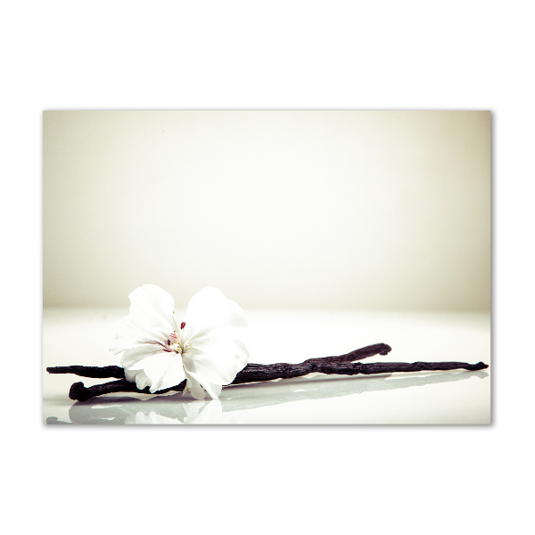 Foto schilderij op glas Vanillestokje