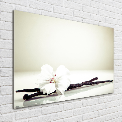 Foto schilderij op glas Vanillestokje