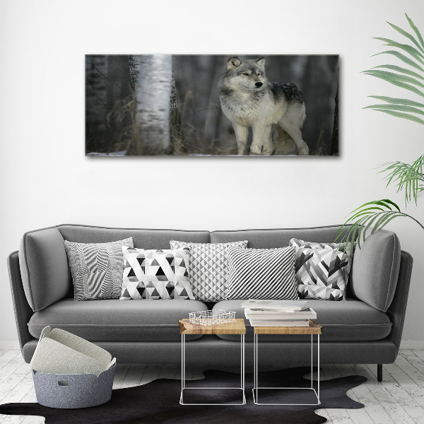 Foto schilderij op glas Grijze wolf