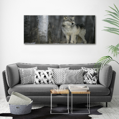 Foto schilderij op glas Grijze wolf