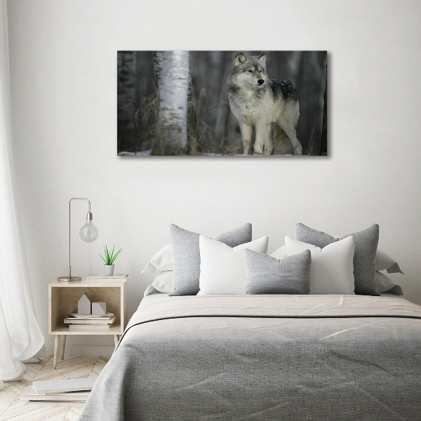 Foto schilderij op glas Grijze wolf