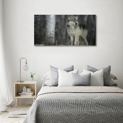 Foto schilderij op glas Grijze wolf