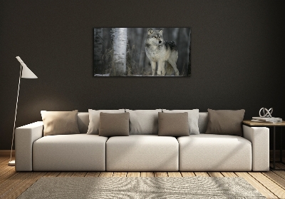 Foto schilderij op glas Grijze wolf
