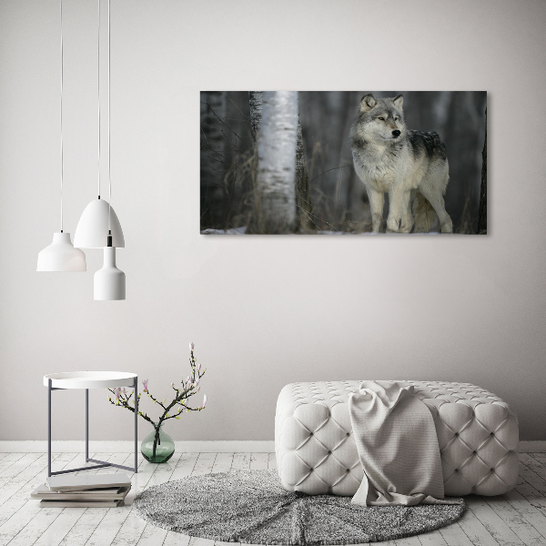 Foto schilderij op glas Grijze wolf