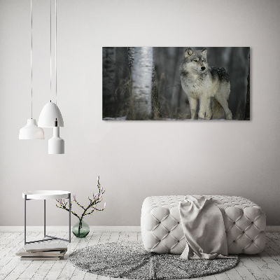 Foto schilderij op glas Grijze wolf