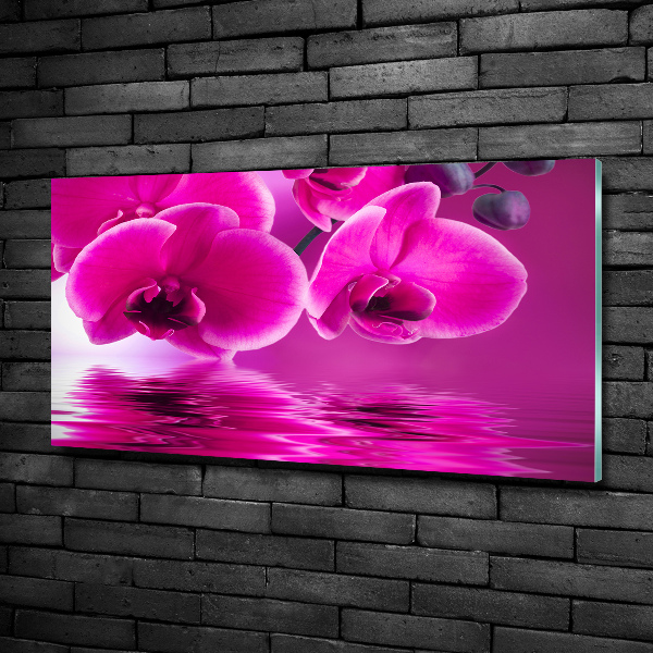 Schilderij op glas Orchidee