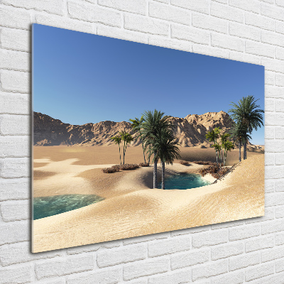 Foto schilderij op glas Oase