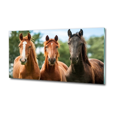 Foto schilderij op glas Drie paarden