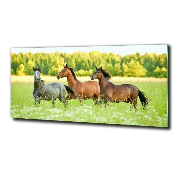 Schilderij op glas Paarden in galop