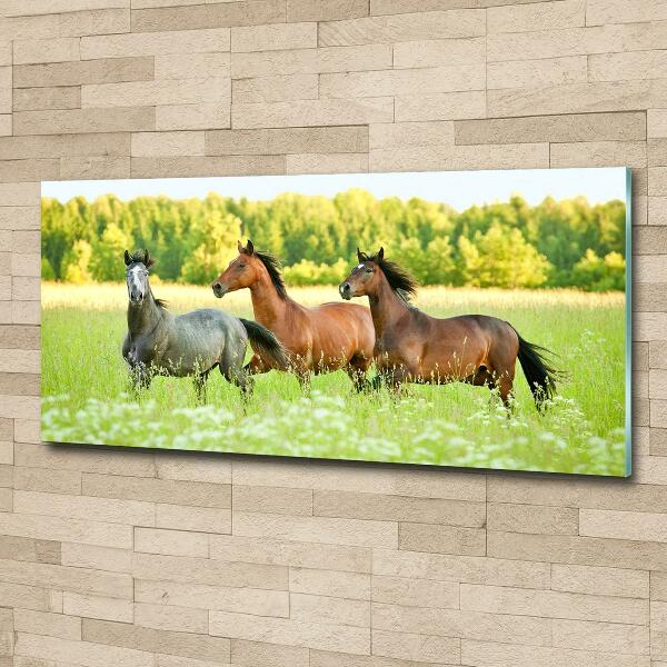 Schilderij op glas Paarden in galop