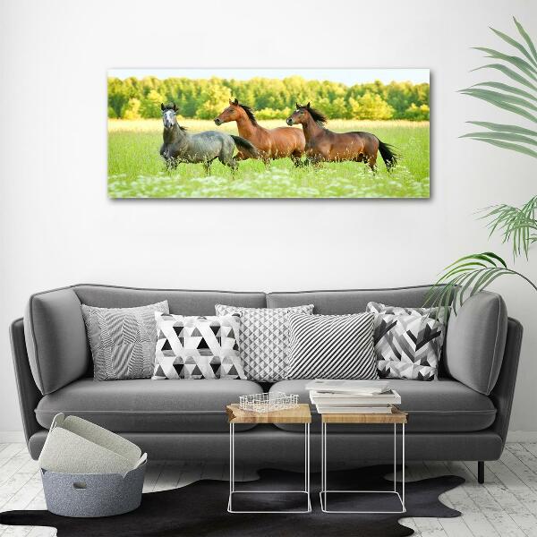 Schilderij op glas Paarden in galop