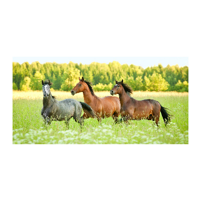 Schilderij op glas Paarden in galop