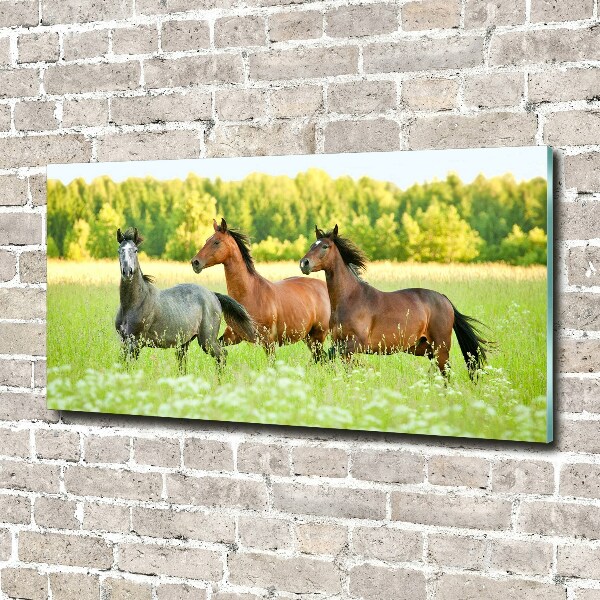 Schilderij op glas Paarden in galop