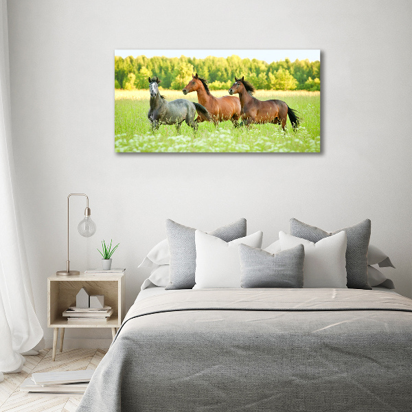 Schilderij op glas Paarden in galop