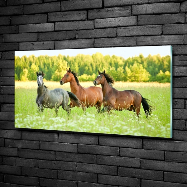 Schilderij op glas Paarden in galop