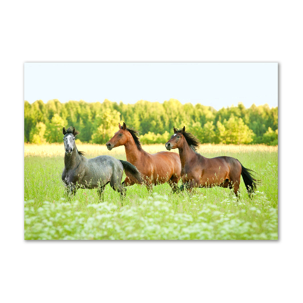 Schilderij op glas Paarden in galop