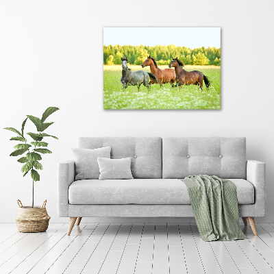 Schilderij op glas Paarden in galop