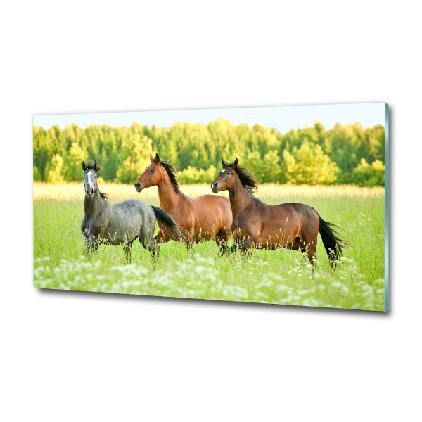 Schilderij op glas Paarden in galop