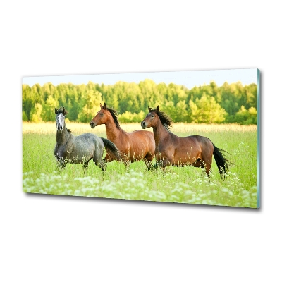 Schilderij op glas Paarden in galop