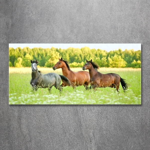 Schilderij op glas Paarden in galop