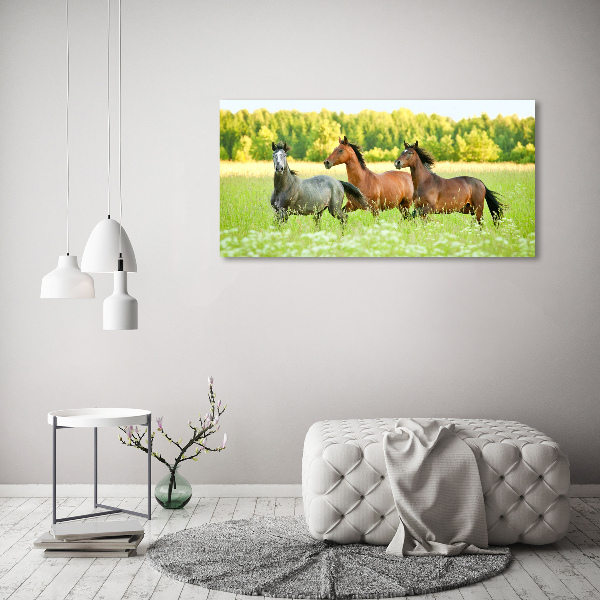 Schilderij op glas Paarden in galop