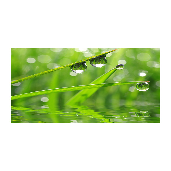 Schilderij op glas Druppels op het gras