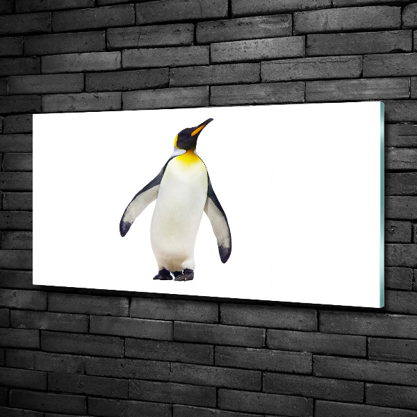 Schilderij glas Pinguïn