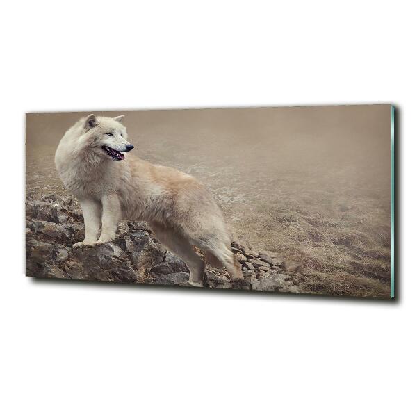 Foto schilderij op glas Witte wolf op een rots