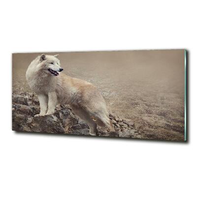 Foto schilderij op glas Witte wolf op een rots