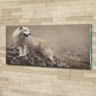 Foto schilderij op glas Witte wolf op een rots